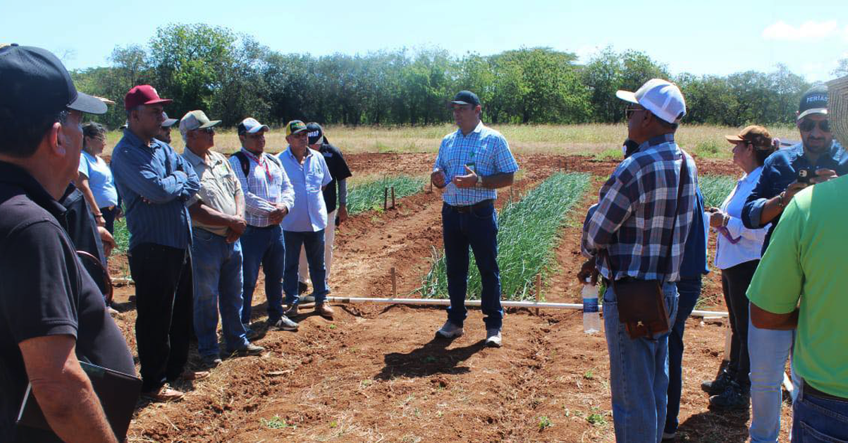 PLANTILLA-PARA-IMAGEN-DESTACADA_01