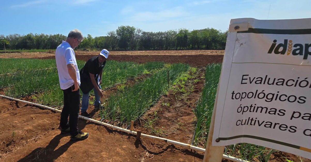 PLANTILLA-PARA-IMAGEN-DESTACADA_02