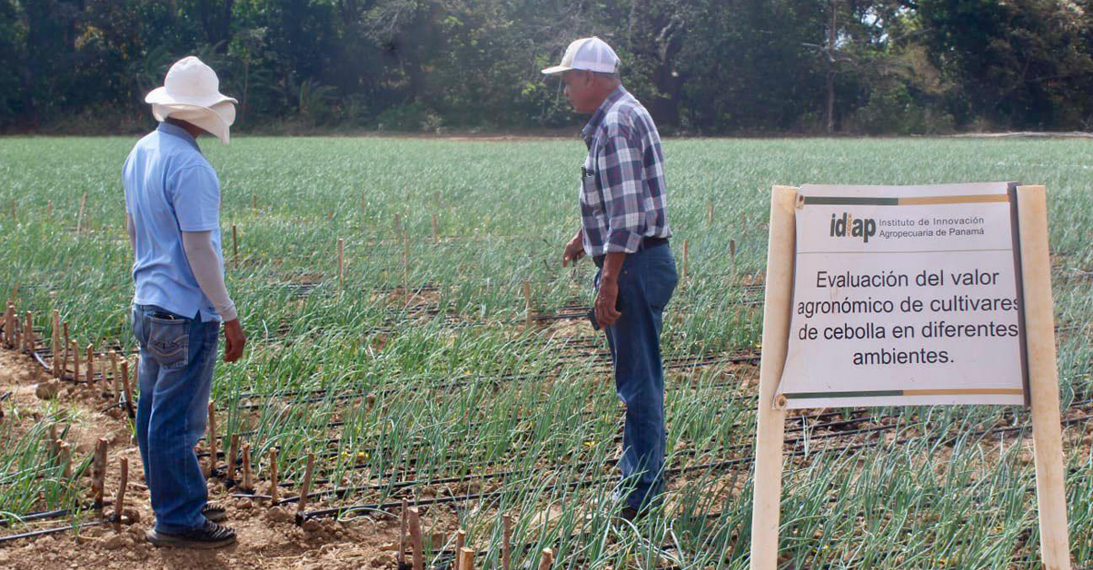 PLANTILLA-PARA-IMAGEN-DESTACADA