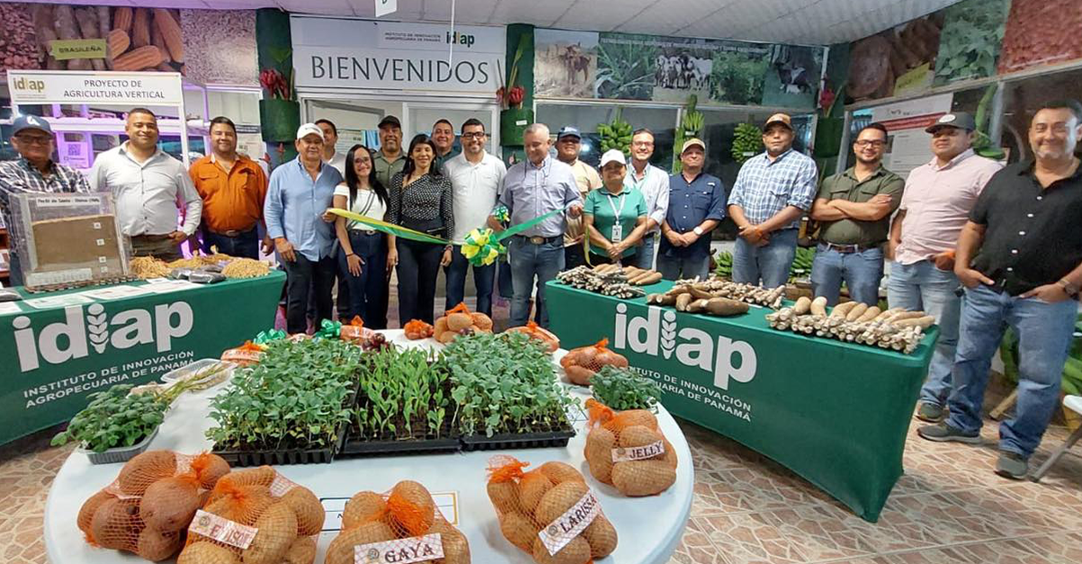 PLANTILLA-PARA-IMAGEN-DESTACADA_051