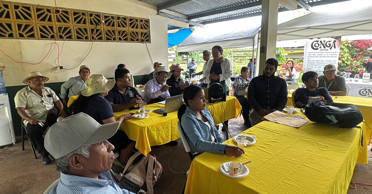 PLANTILLA-PARA-IMAGEN-DESTACADA_07