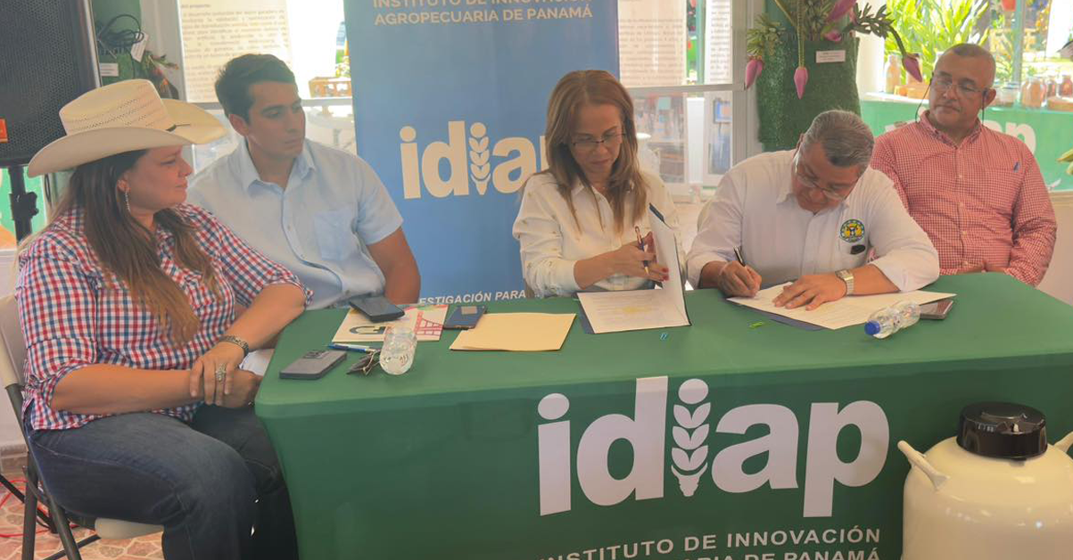 PLANTILLA-PARA-IMAGEN-DESTACADA_08