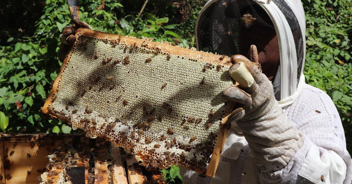 PLANTILLA-PARA-IMAGEN-DESTACADA_09