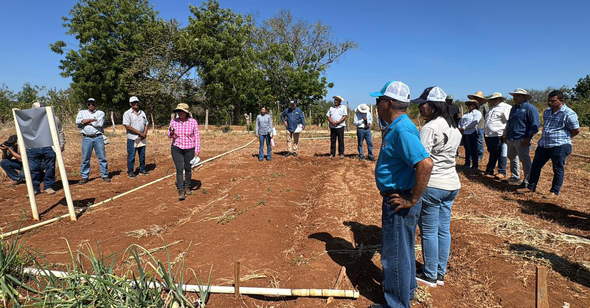 PLANTILLA-PARA-IMAGEN-DESTACADA_10