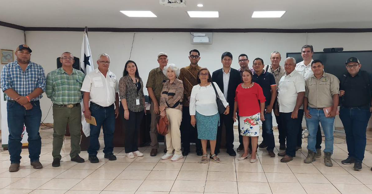 PLANTILLA-PARA-IMAGEN-DESTACADA_11