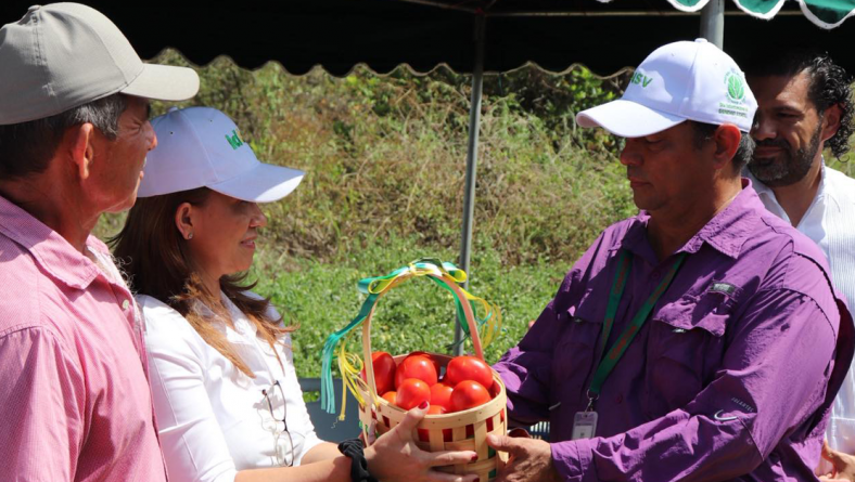 EL IDIAP LIBERA OFICIALMENTE DOS NUEVAS VARIEDADES DE TOMATE