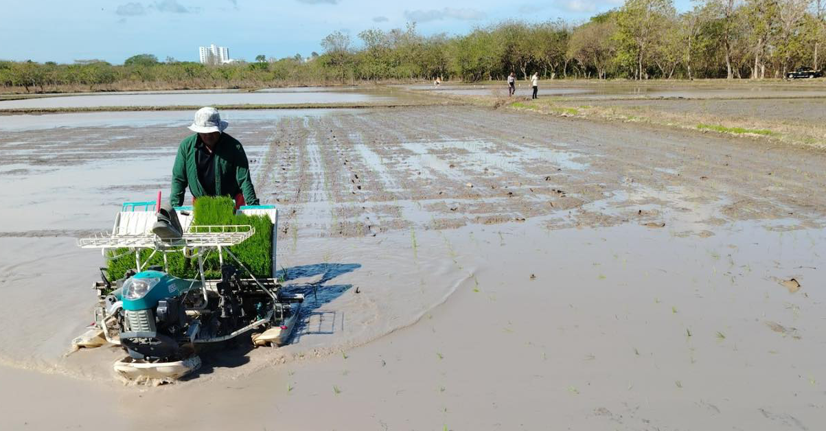 PLANTILLA-PARA-IMAGEN-DESTACADA_14