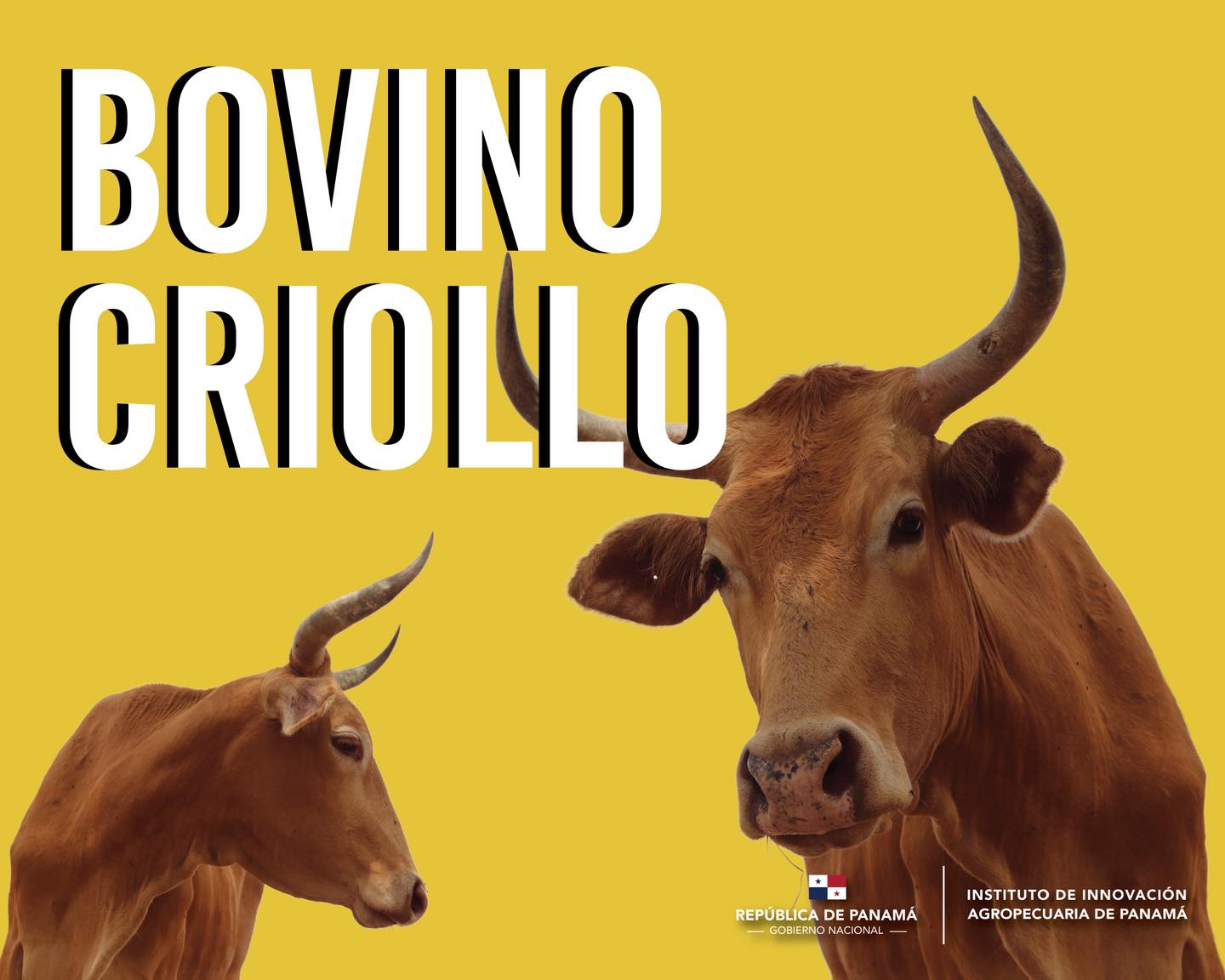 682692292_1755146502124517_7000356504996246917_n