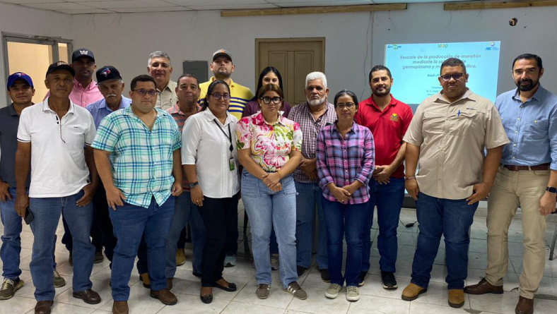 IDIAP DESARROLLA ESTRATÉGIA PARA RESCATAR EL MARAÑON EN EL ARCO SECO