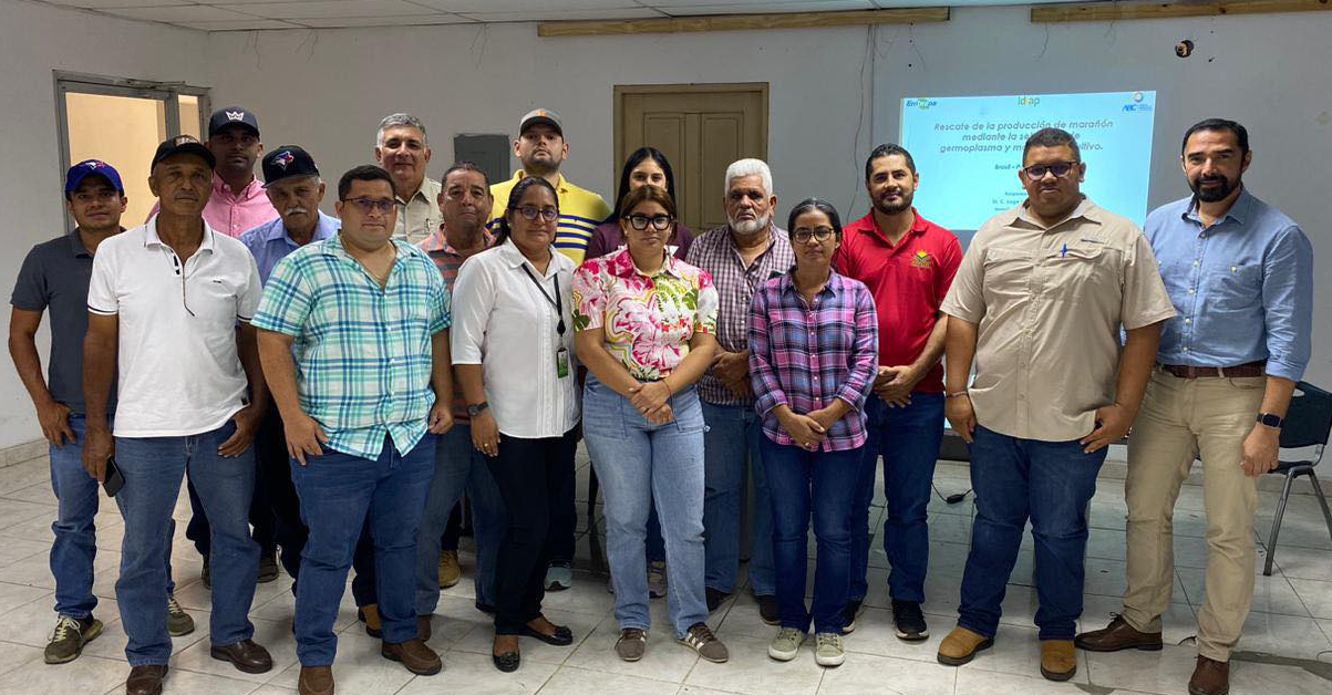 PLANTILLA-PARA-IMAGEN-DESTACADA