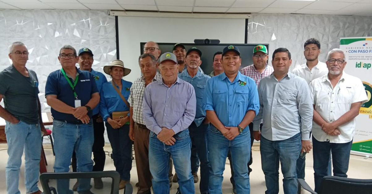 PLANTILLA-PARA-IMAGEN-DESTACADA_08