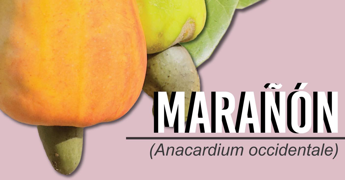 PLANTILLA PARA IMAGEN DESTACADA_09