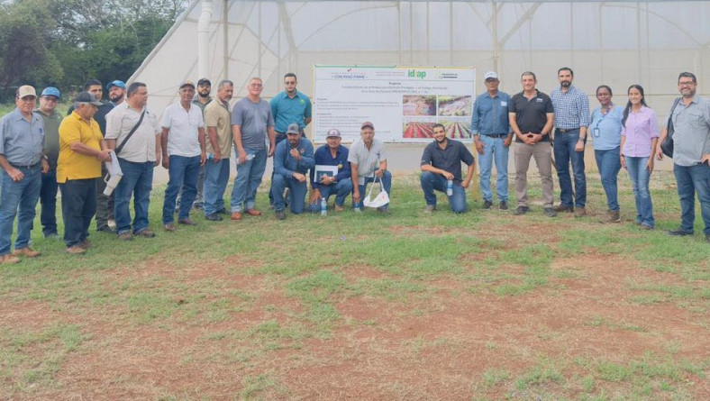 IDIAP Y PROY. PROHORTAS REALIZAN JORNADA DE DIVULGACIÓN DE AVANCES EN EL EJIDO