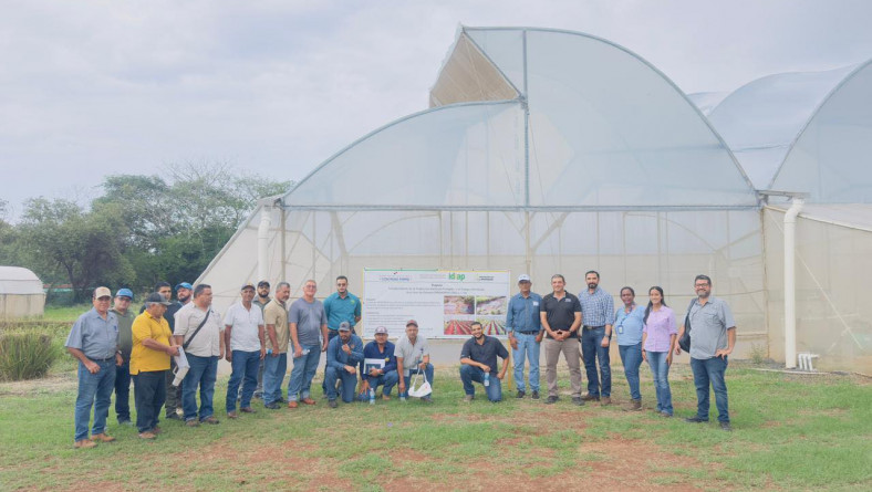 EL IDIAP A TRAVÉS DEL PROYECTO PROHORTAS REALIZÓ UN JORNADA DE DIVULGACIÓN DE AVANCES EN LA ESTACIÓN EXPERIMENTAL EL EJIDO