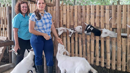 DRA. MARÍA JESÚS ALCALDE DE UNIV. DE SEVILLA REALIZA PASANTÍA EN IDIAP
