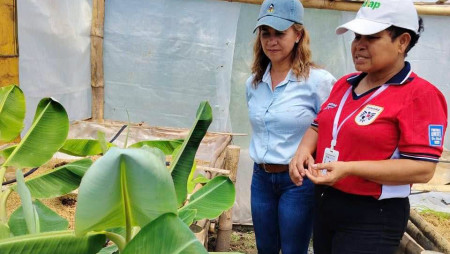 LIC. MIRIAM DE VÁSQUEZ, DIR. GENERAL ENCARGADA DE IDIAP, VISITA SUBCENTRO DE BARÚ