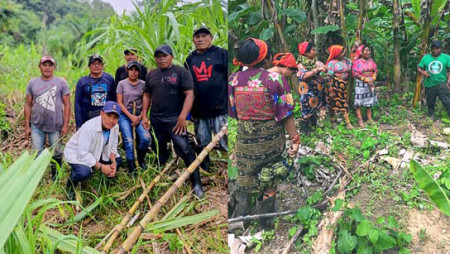 GIRA DE CAMPO EN LA COMARCA GUNA YALA CON PRODUCTORES AGRÍCOLAS