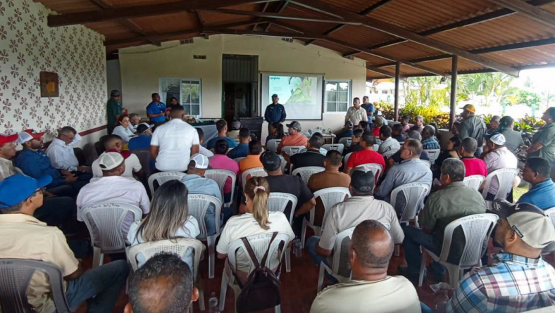 SE REALIZA JORNADA TÉCNICA PARA COMPARTIR AVANCES EN LAS INVESTIGACIONES EN CUANTO AL CULTIVO DE PIÑA