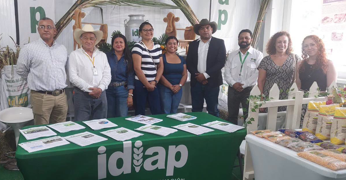 PLANTILLA-PARA-IMAGEN-DESTACADA_5