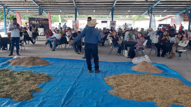 IDIAP DESARROLLA TALLER SOBRE ALTERNATIVAS DE ALIMENTACIÓN PARA EL GANADO