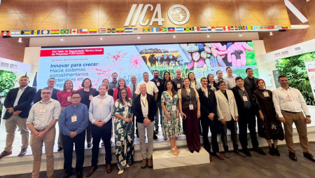 IDIAP PARTICIPA DEL XXI TALLER DE SEGUIMIENTO TÉCNICO ANUAL DE PROYECTOS DE FONTAGRO