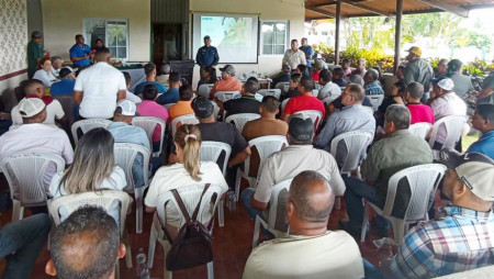 IDIAP REALIZA JORNADA TÉCNICA PARA COMPARTIR AVANCES DE LAS INVESTIGACIONES DEL CULTIVO DE PIÑA