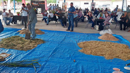 IDIAP DESARROLLA TALLER SOBRE ALTERNATIVAS DE ALIMENTACIÓN PARA EL GANADO
