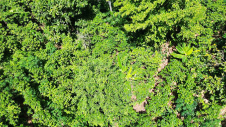 JORNADA TÉCNICA DE CAMPO PARA DETERMINAR POTENCIAL DE CAPTURA DE CARBONO