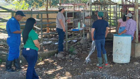 IDIAP GUALACA LLEVA A CABO EL II SEMINARIO DE INSEMINACIÓN ARTIFICIAL EN BOVINOS