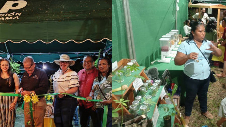 IDIAP EXPONE PRODUCTOS DE SUS INVESTIGACIONES EN LA FERIA INTERINSTITUCIONAL COCLÉ 2026