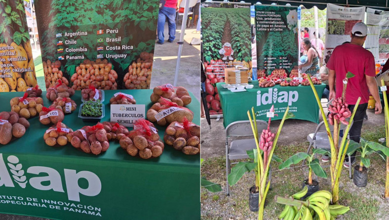 PABELLÓN DEL IDIAP CHIRIQUÍ EN EL AGROFESTIVAL DE RÍO SERENO