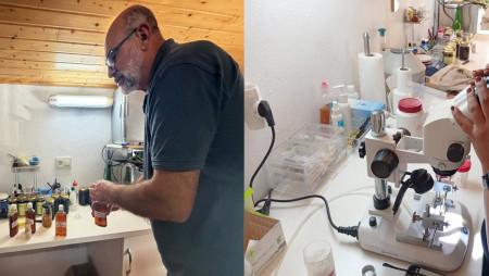 IDIAP PARTICIPA EN PASANTÍA TÉCNICO ESPECIALIZADA SOBRE APICULTURA EN GALICIA, ESPAÑA