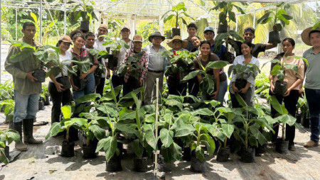 ESTUDIANTES DEL IPT DE SAN ANDRÉS COLABORAN CON MULTIPLICACIÓN DE SEMILLA DE PLÁTANO