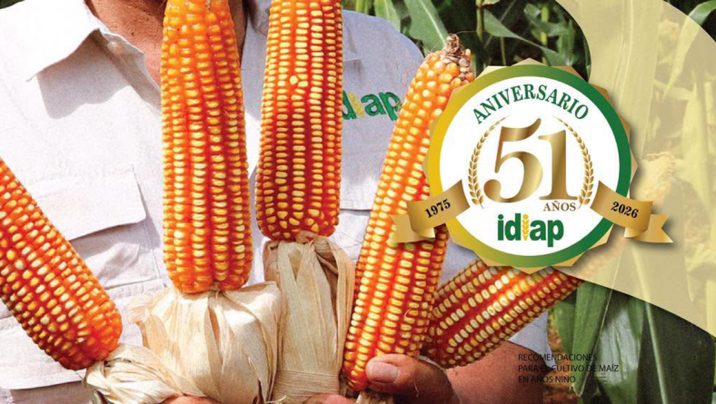 RECOMENDACIONES PARA EL CULTIVO DE MAÍZ EN AÑOS NIÑO