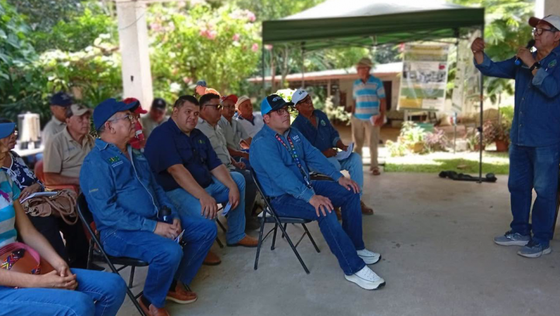 JORNADA DE CAPACITACIÓN SOBRE AVANCES DEL PROYECTO «INNOVACIÓN AGROEDAFOCLIMÁTICA DE LOS SITEMAS REGENERATIVOS DEL CULTIVO DE CAFÉ ORGÁNICO EN ZONAS PRODUCTIVA DE AZUERO»