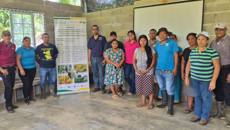 EL IDIAP BRINDÓ UNA CAPACITACIÓN SOBRE EL MANEJO AGROECOLÓGICO DE PLAGAS DEL CULTIVO DEL PIFÁ