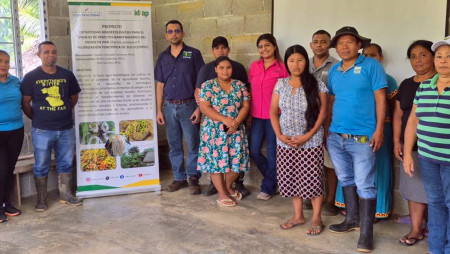 IDIAP CAPACITÓ A AGRICULTORES BOCATOREÑOS SOBRE EL MANEJO DE PLAGAS EN EL CULTIVO DE PIFÁ