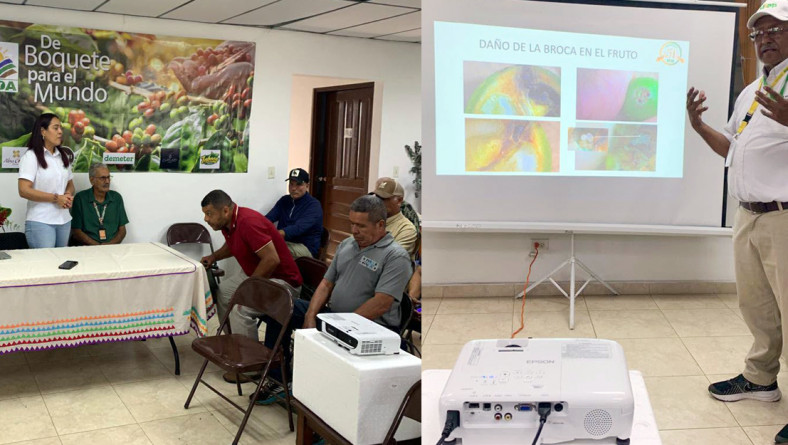 EN EL DÍA INTERNACIONAL DEL CAFÉ, IDIAP ACOMPAÑÓ AL MIDA EN CAPACITACIÓN SOBRE EL RUBRO