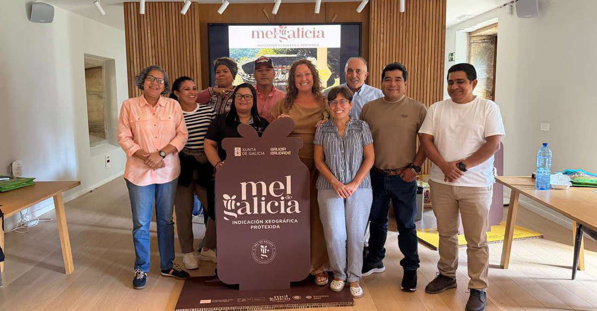 PLANTILLA-PARA-IMAGEN-DESTACADA_37